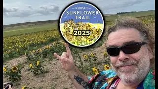 Our Visit To THE DORSET SUNFLOWER TRAIL 2025 - Dorchester, Dorset