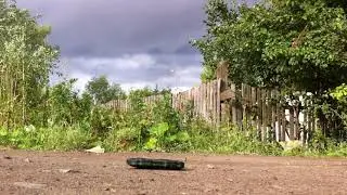 IMG 02651