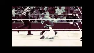 Asuka - Cross Armbreaker (Ground - Faced Down)