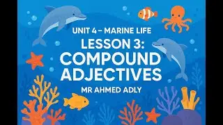 **Unit 4 &ndash; Marine Life | Third Year Secondary | Lesson 3 Grammar | Compound Adjectives