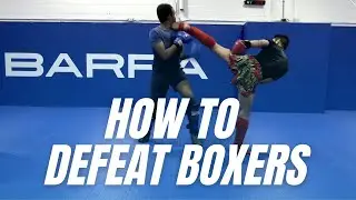 How to Defeat Boxers | 6 Ways to Parry into Kicks