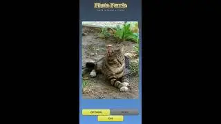 Gold Photo Puzzles