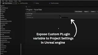 How to Expose Custom Plugin Variable to Project Setting in Unreal Engine