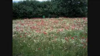 London to Paris Bike Ride