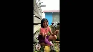 Bermain dengan Justin Alexander 😸 #fypcats #catvideos
