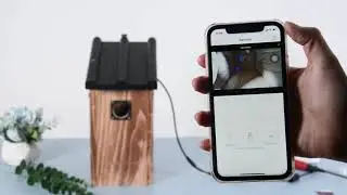 Best 2021 Black Friday Deals-Gift/Gadgets for Garden Bird Watching