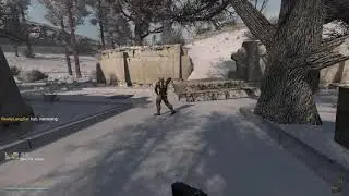 Stalker: Anomaly - Freedom Run