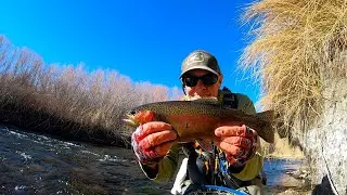 Eastern Sierra fishing Lower Owens river trout,, wild trout section