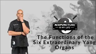 Functions of the 6 Extraordinary Yang Organs - Acupuncture Is My Life