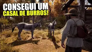CONSEGUI UM CASAL DE BURROS! LUCREI MUITO NA COLHEITA DE OUTONO! | Medieval Dynasty