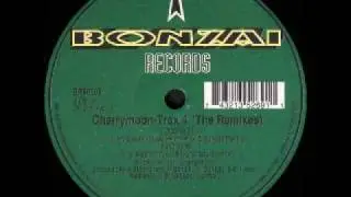 Cherrymoon Trax - In My Electric House (Raver's Nature Remix) - Bonzai Records - 1996