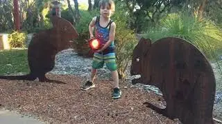 Woylie Walks Whiteman Park Perth
