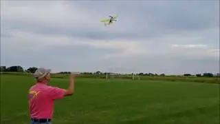 Frog Linnet and Easy Built Junior Commercial Free Flight Trim Flights