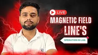 What is a MAGNETIC field line around a U shaped magnet?@ thrive physics 