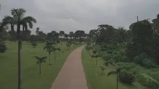 The International Institute of Tropical Agriculture (IITA), Ibadan.🏡🌳🌴🌿🌾🥦🌽