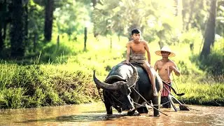 Climate Clash: Rural Farmers Fight for the Future of Agriculture, Resilience🔥🌾, @discovermorehere
