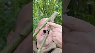 Простое охотничье оружие для выживания #выживание