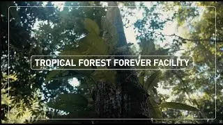 Apresentando O Tropical Forest Forever Facility (PT)