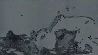 9 8 r p m (Asmodeo Remix) - Revuelto de Emociones [Visualizer]