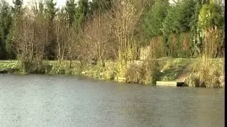 Acsdemia de pesca con Bob nudd