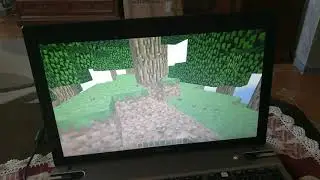 Minecraft Has BSOD