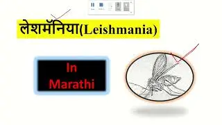 लेशमॅनिया(Leishmania) in Marathi | Kala Azar in Marathi | generic zoology
