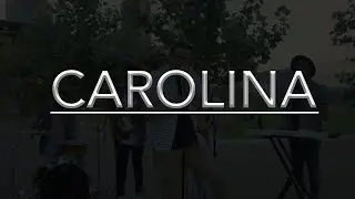 Carolina by Harry Styles | The Grove Street Band Cover