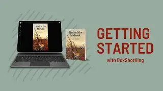 Getting Started in BoxShotKing