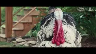 Sam Zeilender Demo Reel