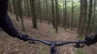 VTT Enduro Albine / Specialized Stumpjumper EVO Carbon