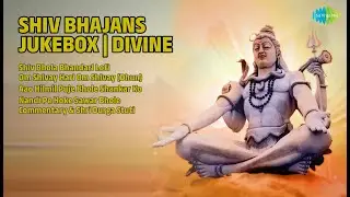 दिव्य शिव भजन | Hari Om Sharan | Shiv Bhola Bhandari Lofi | Om Shivay Hari Om Shivay (Dhun)