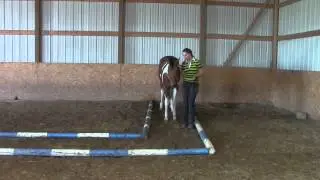 In-Hand Trail: Back Through the 