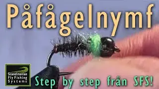 Den fantastiska p&aring;f&aring;gelnymfen!!