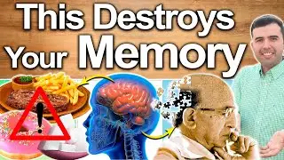 These Foods Destroy Your Memory - How To Reverse Or Recover Memory Loss Naturally