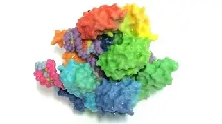 How Protein-DNA Recognition Works