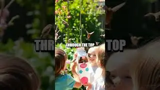 Eco-Friendly Bird Feeder Project