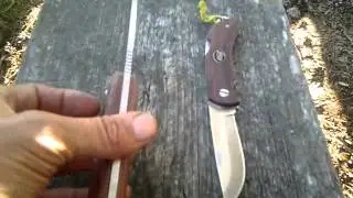 eka