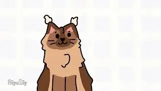 Animation effect called boiling practice with a cat