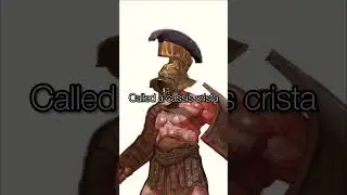 Gladiator weapons #fact #facts #history #video #rome
