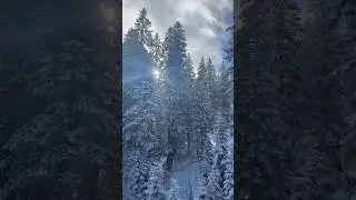 Lenzerheide ❤️🎿 #ski #lenzerheide #arosa #skiing #asmrsports #asmr #pov #dji