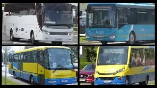 Every Type Of Bus In Michalovce (Každý typ autobusu v Michalovciach)