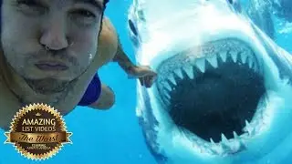 Top 11 Epic Selfies Of All Time