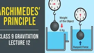 Archimedes&rsquo; Principle Explained | Class 9 Gravitation Lecture 12 | CBSE Physics | Buoyancy 