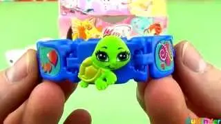 3 киндер сюрприз Винкс Winx коллекция 2013 года