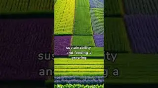 Plant Genetics and Modification: The Changing Face of Modern Agriculture #shorts