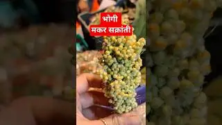 Bhogi sankranti | bhogi for sankranti | makar sankranti | sankranti | bhogi | happy makar sankranti