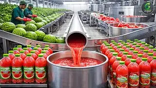 Inside a Modern Watermelon Factory: From Farm Harvest to Bottled Juice (Full Process)