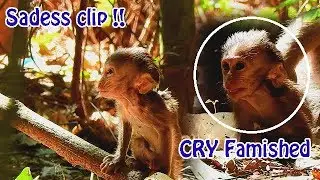 SURELY.. Cry with this clip Pity Charlee poorest baby skin over bone cry cry staving food so much