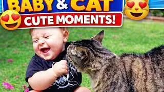 🐾 Live Pet Madness! 😹 প্রাণীদের ননস্টপ Fun! #shorts #shortslive