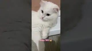 Мастер класс по ФЛИРТУ&hellip;💅